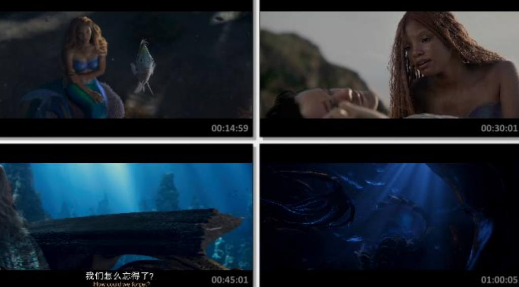 2023爱情奇幻《小美人鱼》1080p.BD中英双字