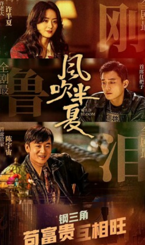 《风吹半夏》全集