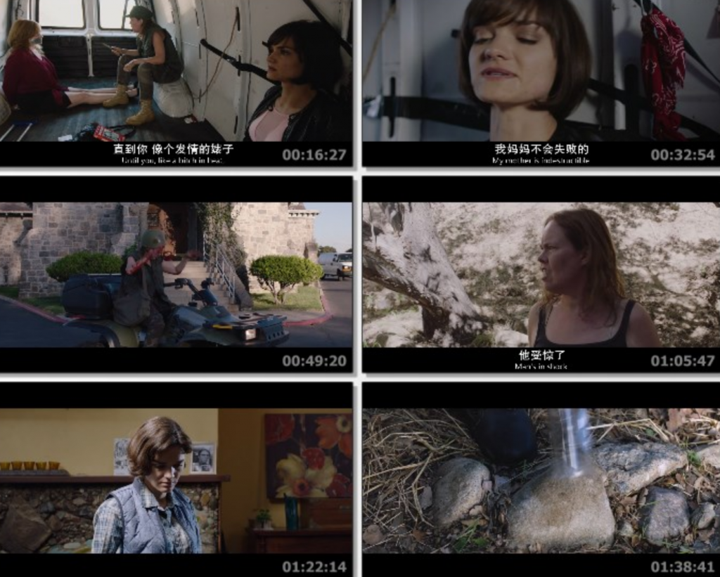 2019恐怖惊悚《似曾相识/我唾弃你的坟墓4》720p.BD中英双字