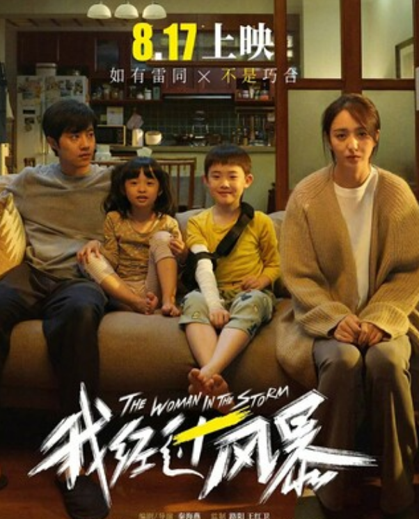 2023剧情《我经过风暴》1080p.HD国语中字