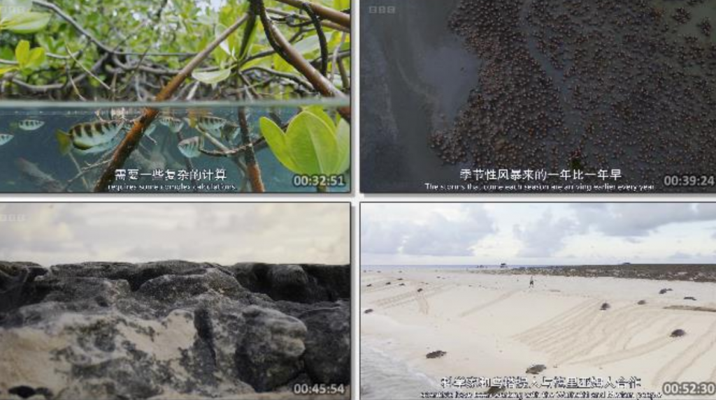 2023纪录片《地球脉动 第三季》更新03