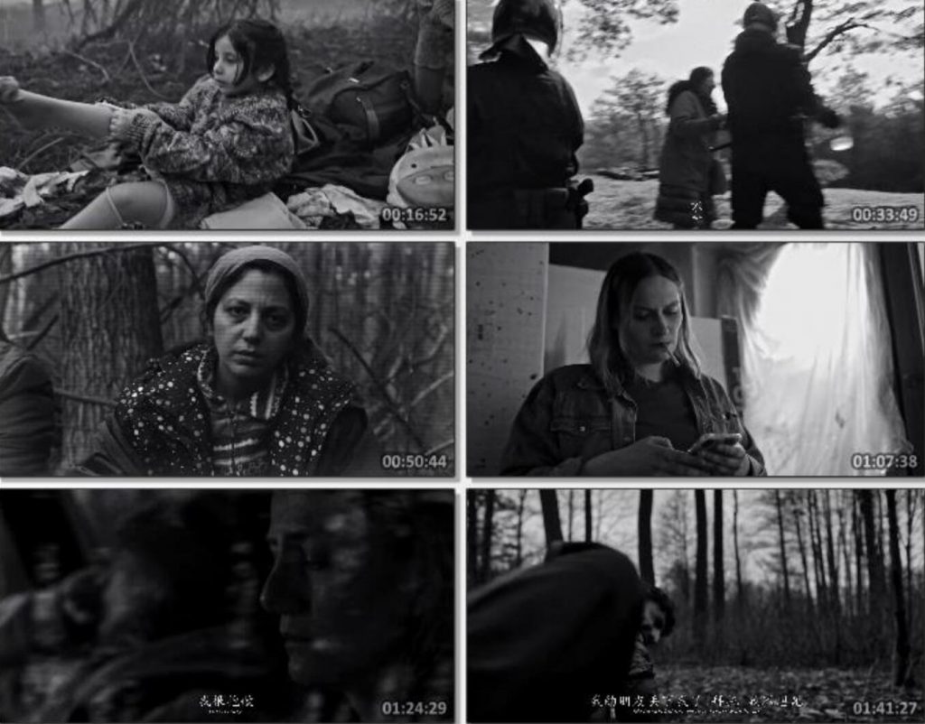 豆瓣7.8分《绿色边境》1080p.BD中英双字