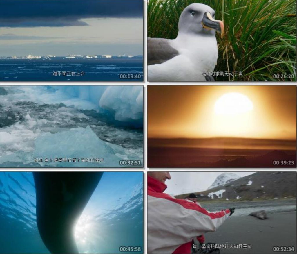 高分纪录片《七个世界,一个星球》1080p.国英双语.BD中字