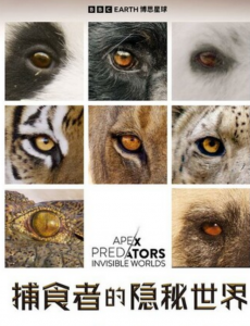 2024纪录片《捕食者的隐秘世界》4K.国英双语.HD中英双字