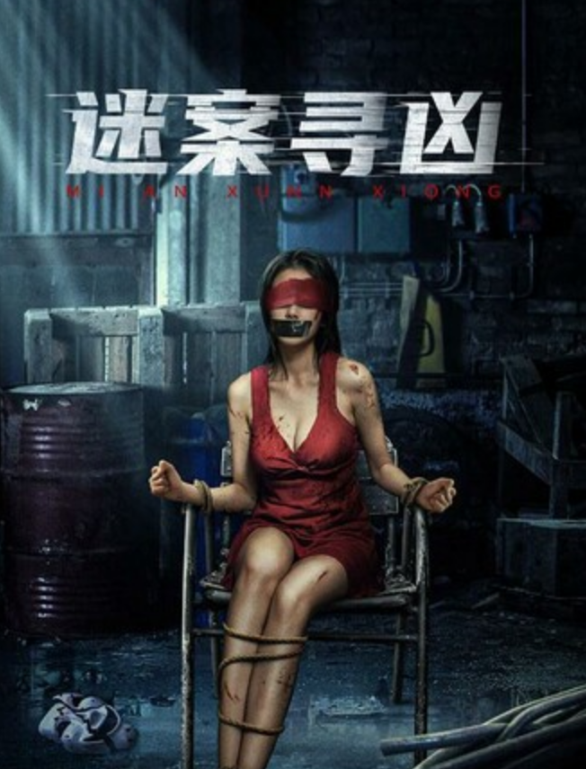 2024动作《谜案寻凶》1080p.HD国语中字