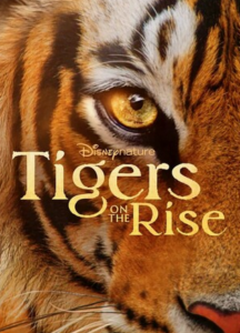 2024纪录片《老虎崛起》1080p.BD中英双字