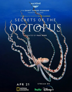 2024纪录片《章鱼的秘密》1080p.HD中字