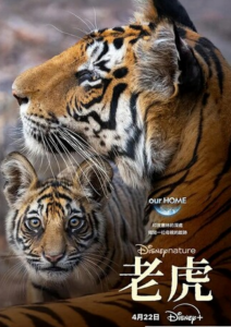 2024纪录片《老虎》1080p.BD中英双字
