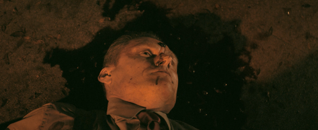 2024动作惊悚《暗影守卫》1080p.BD中英双字