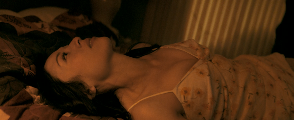 2024动作惊悚《暗影守卫》1080p.BD中英双字