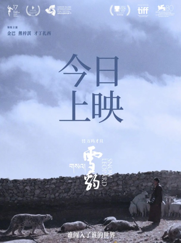 2024剧情《雪豹》4K.HD国语中字