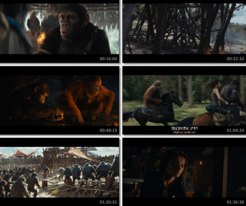 2024动作科幻《猩球崛起:新世界》4K.HD中英双字