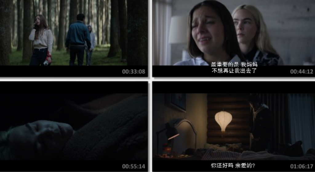 2024剧情《罪恶贵族》1080p.BD中字