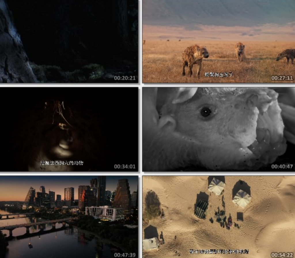 2024高分纪录片《哺乳动物星球》1080p.国英双语.BD中字