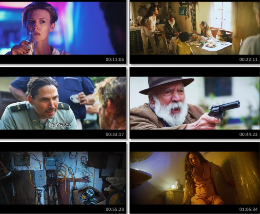 2024动作惊悚《多米尼克:凤凰崛起》1080p.HD中字