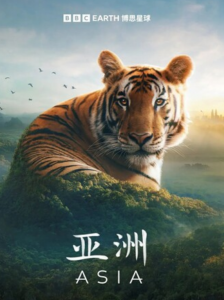 2024纪录片《亚洲》1080p.HD中英双字
