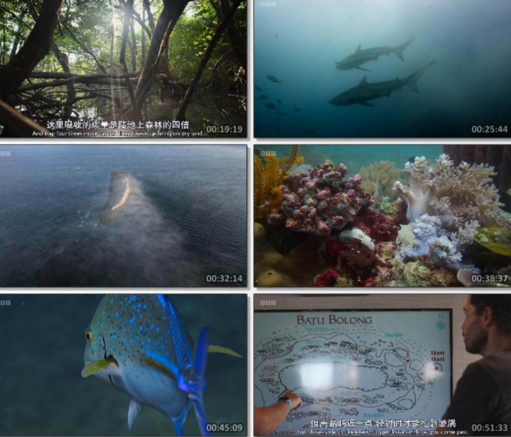 2024纪录片《亚洲》1080p.HD中英双字