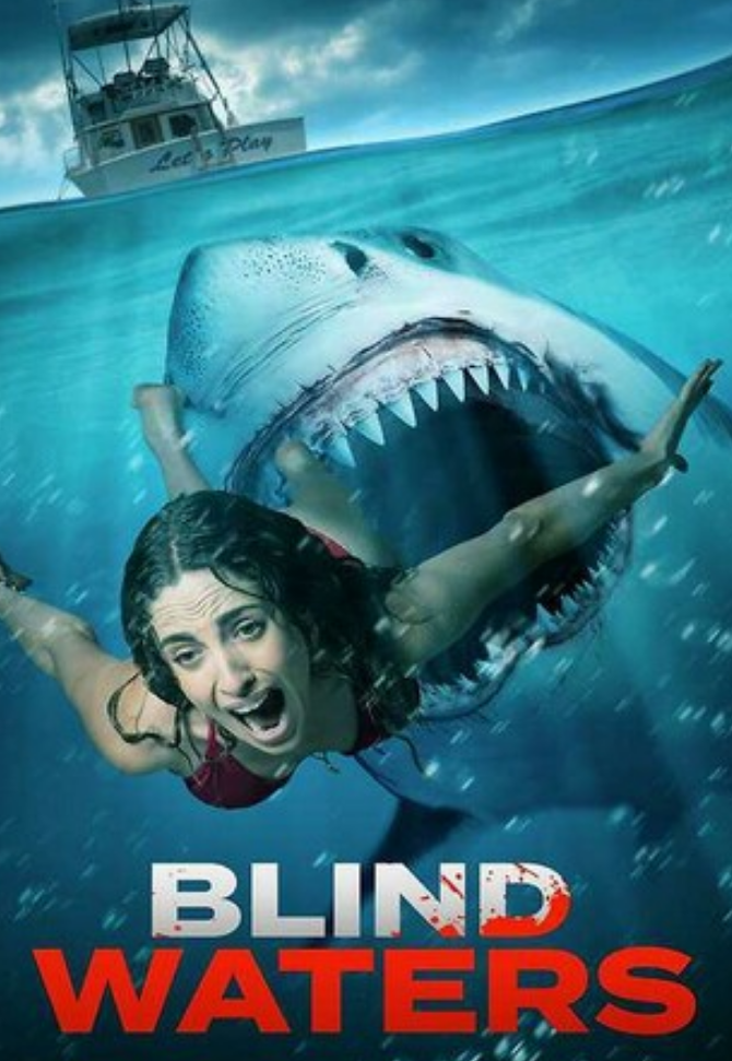 2023动作惊悚《盲水》1080p.BD中字