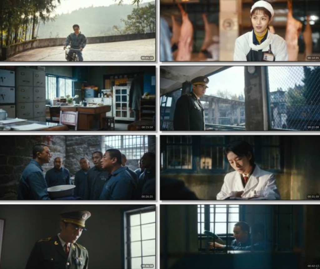 《借命而生》全集