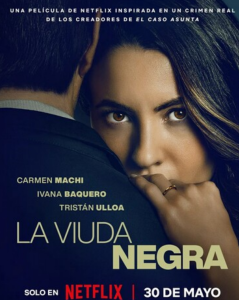 2025剧情《寡妇游戏》1080p.HD中字