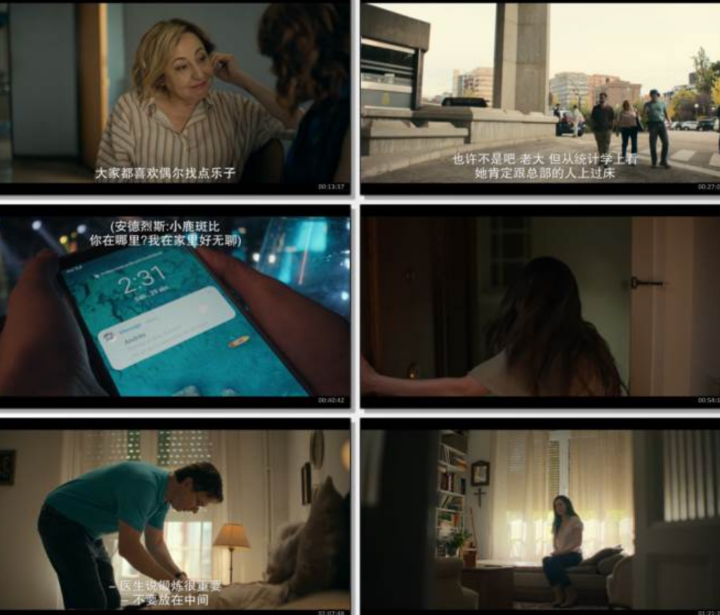 2025剧情《寡妇游戏》1080p.HD中字